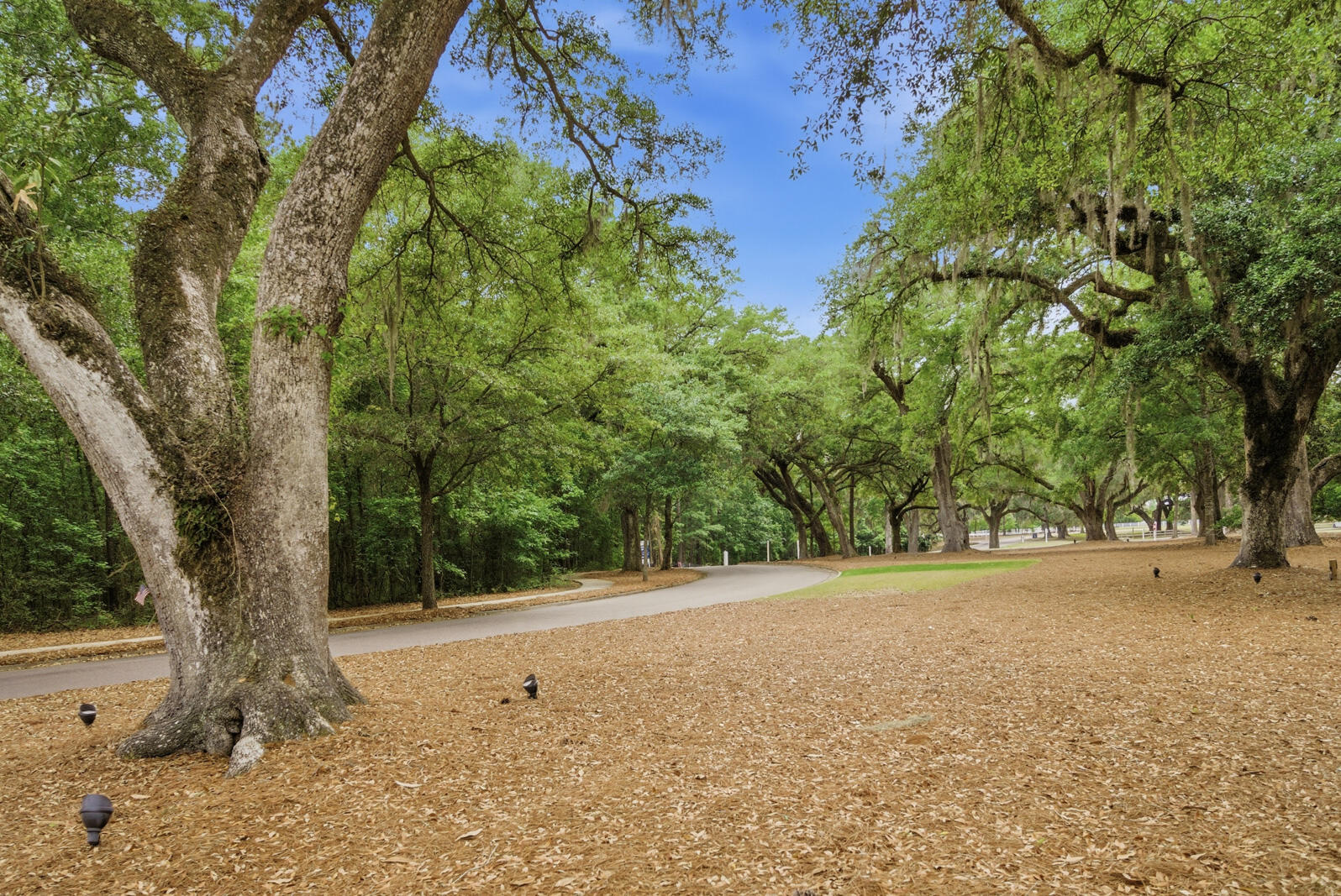 2077 Barn Swallow Road Summerville, SC 29483 - Photo 64 of 73 2077-Barn-Swallow-Road-Summerville-WEB-8
