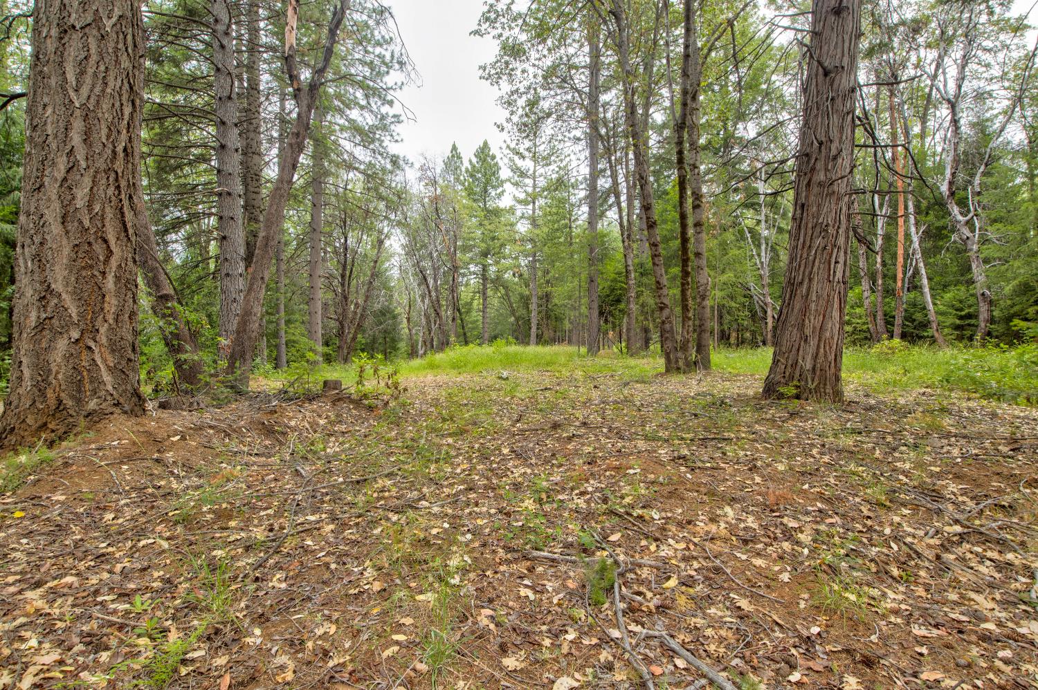 26270 Foresthill Road Foresthill, CA 95631 - Photo 42 of 54