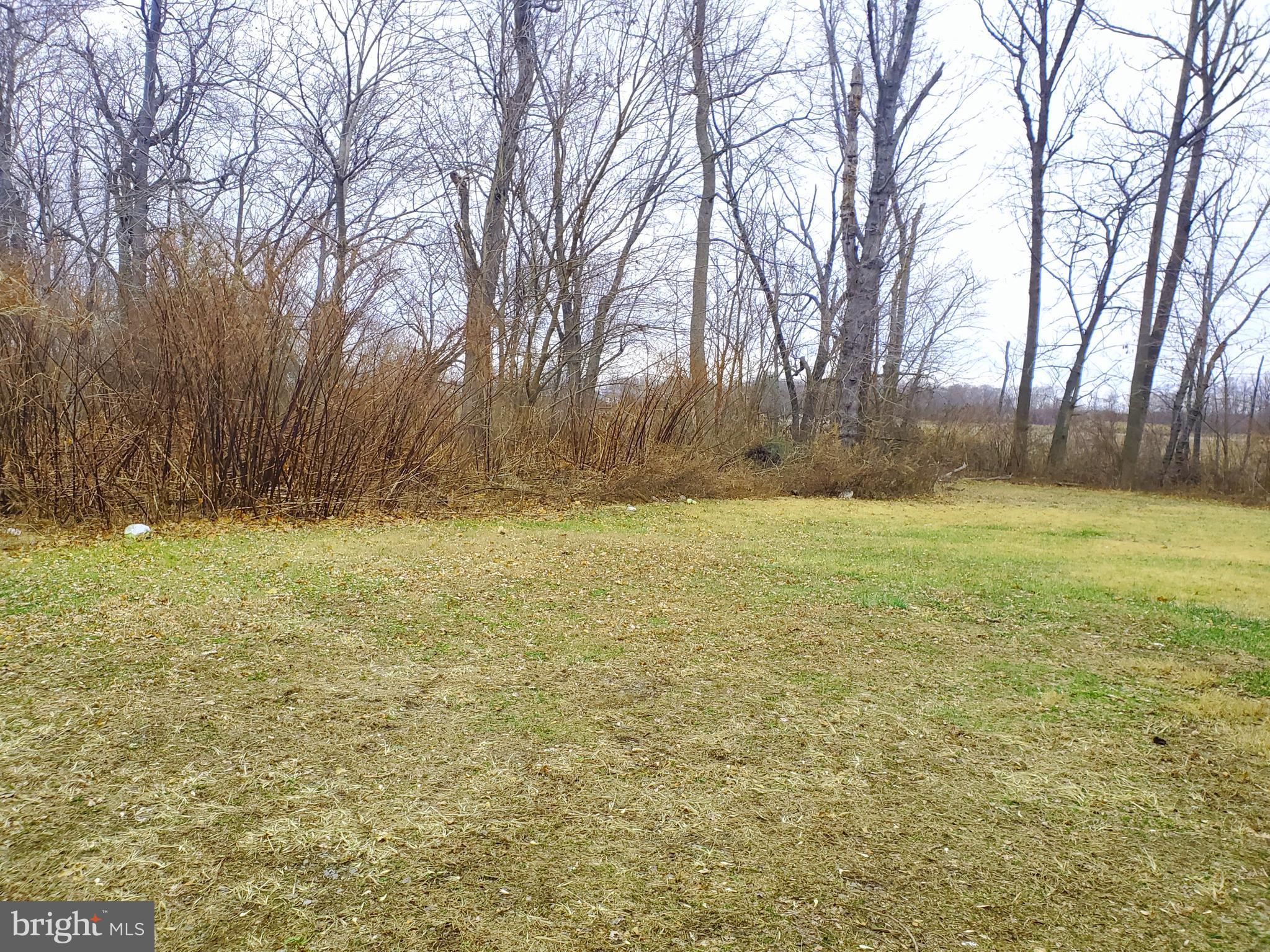 701 Harrison Street, Unit 1 Riverside, NJ 08075 - Photo 17 of 17 Back Yard
