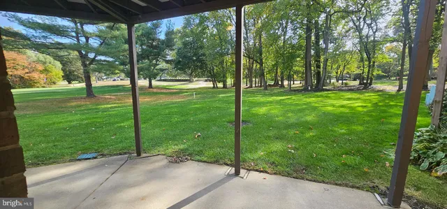 a view of a park with trees in the background