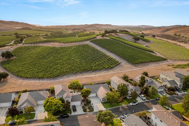 an aerial view of residential houses with outdoor space and river