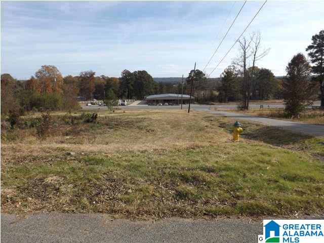 0 Highway 75, Unit 7 Oneonta, AL 35121 - Photo 7 of 9