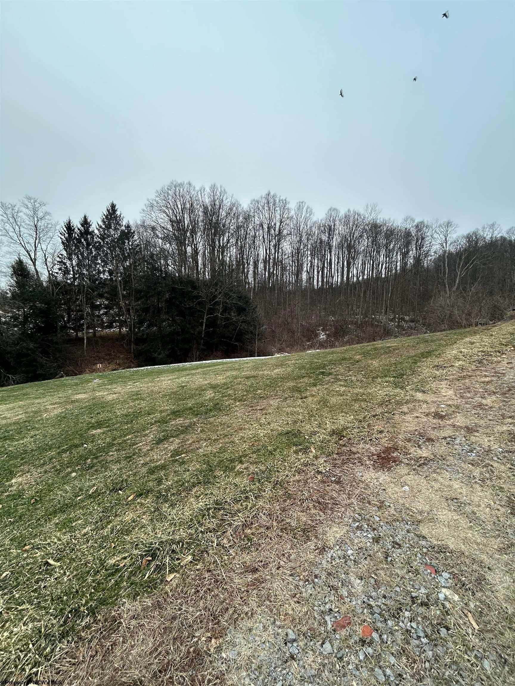 164 Wise Street Baxter, WV 26560 - Photo 28 of 32 Gallery Image 28