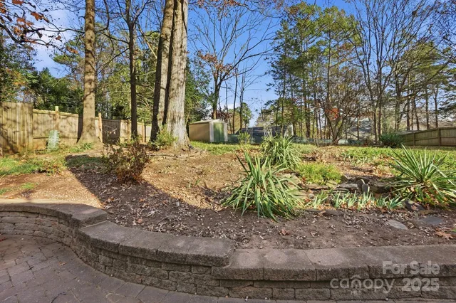 a view of a yard covered with trees