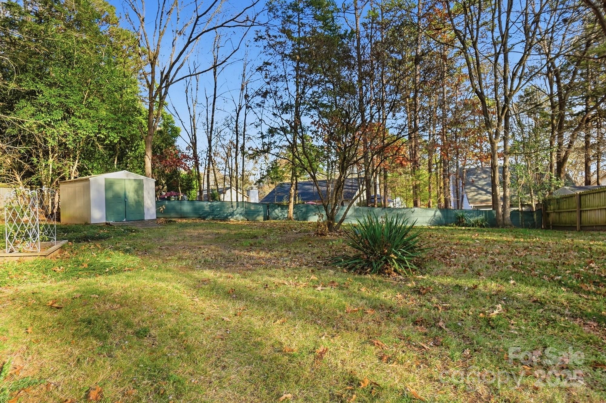 6309 Pineburr Road Charlotte, NC 28211 - Photo 5 of 46 a view of backyard with outdoor space