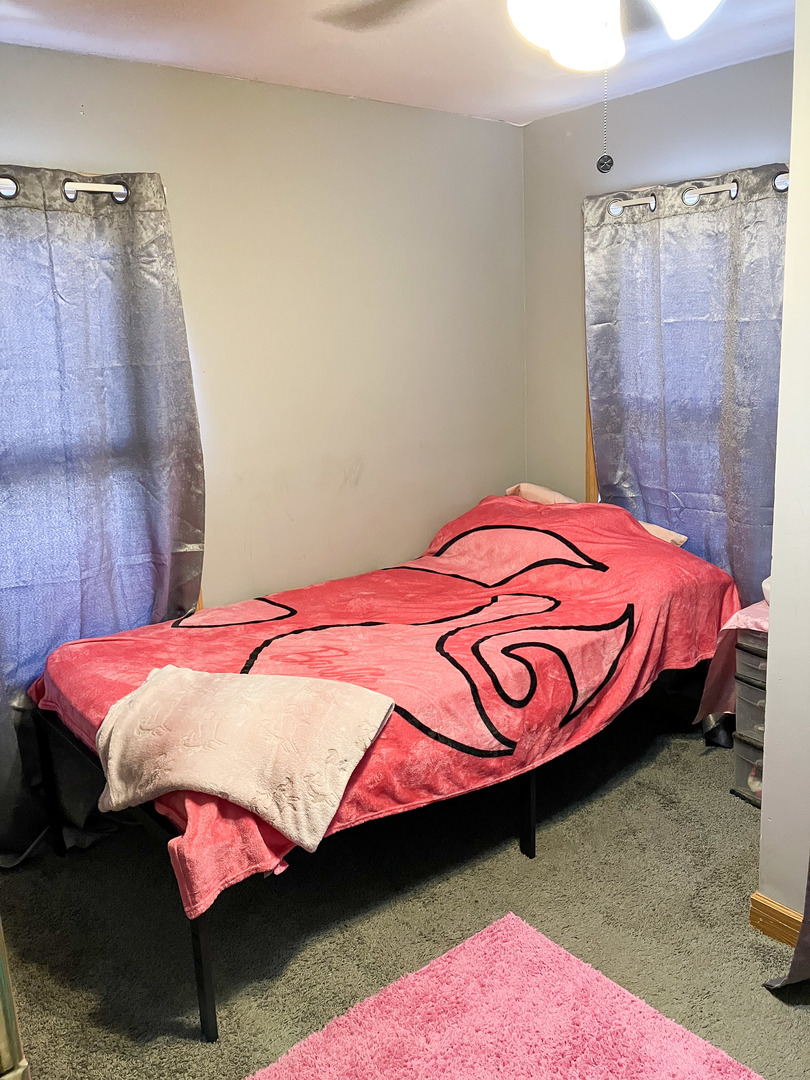 910 Main Street Savanna, IL 61074 - Photo 20 of 25