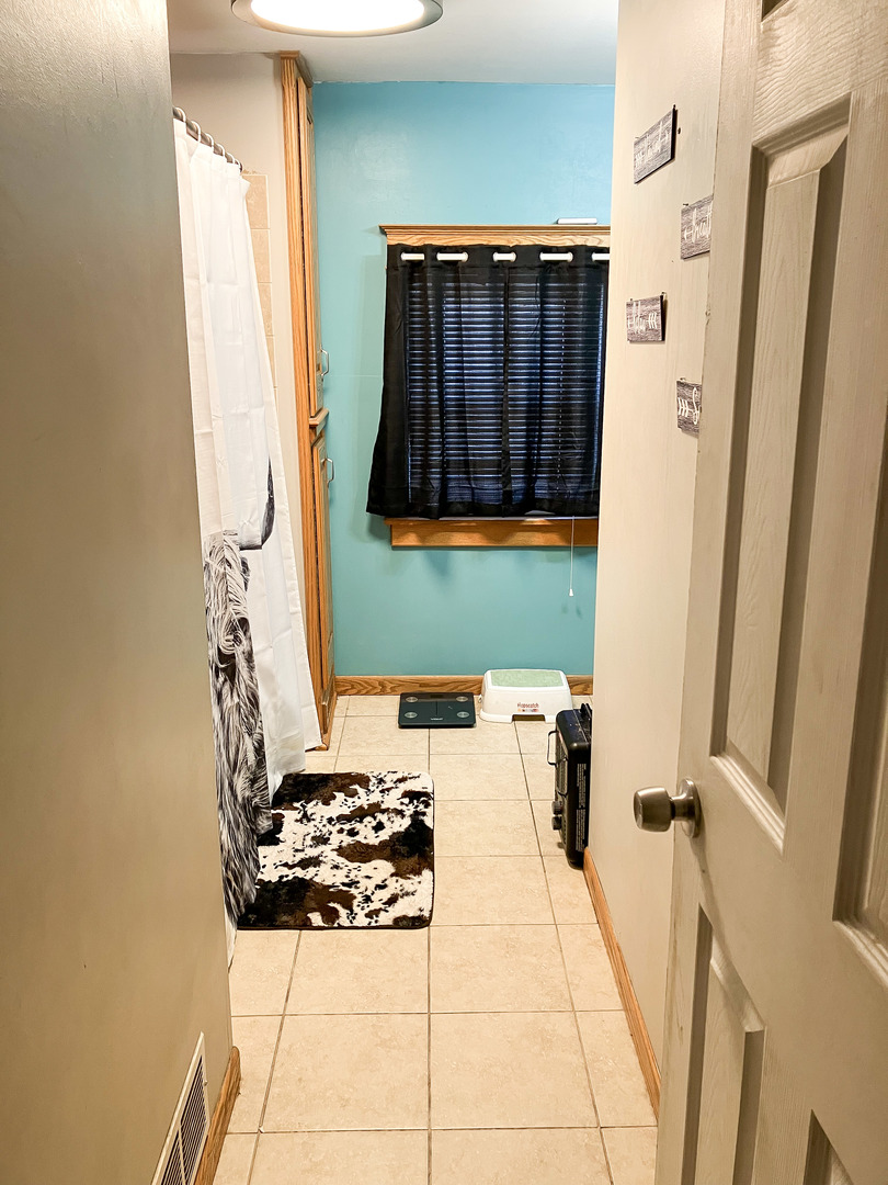 910 Main Street Savanna, IL 61074 - Photo 21 of 25