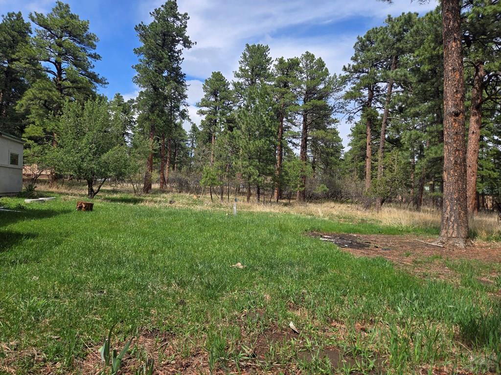 8229 Green Lane Rye, CO 81069 - Photo 2 of 24 a view of a park