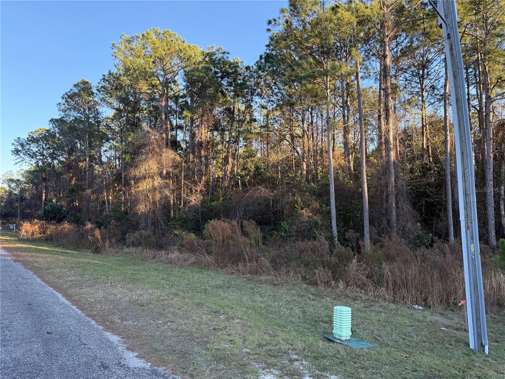 Apricot Avenue Eustis, FL 32736 - Photo 16 of 16 a view of a outdoor space