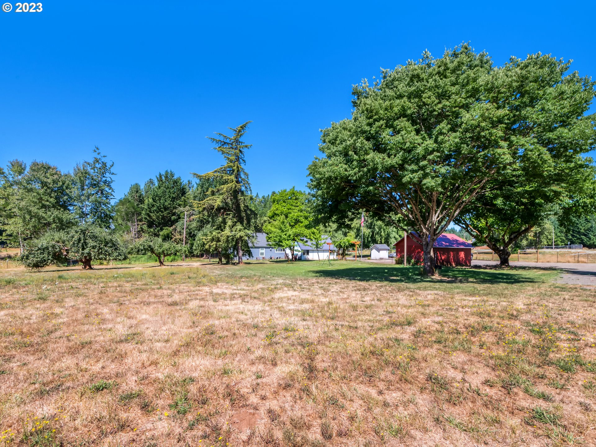 33955 Ford Mill Road Lebanon, OR 97355 - Photo 23 of 44 a view of a yard with trees in front of it