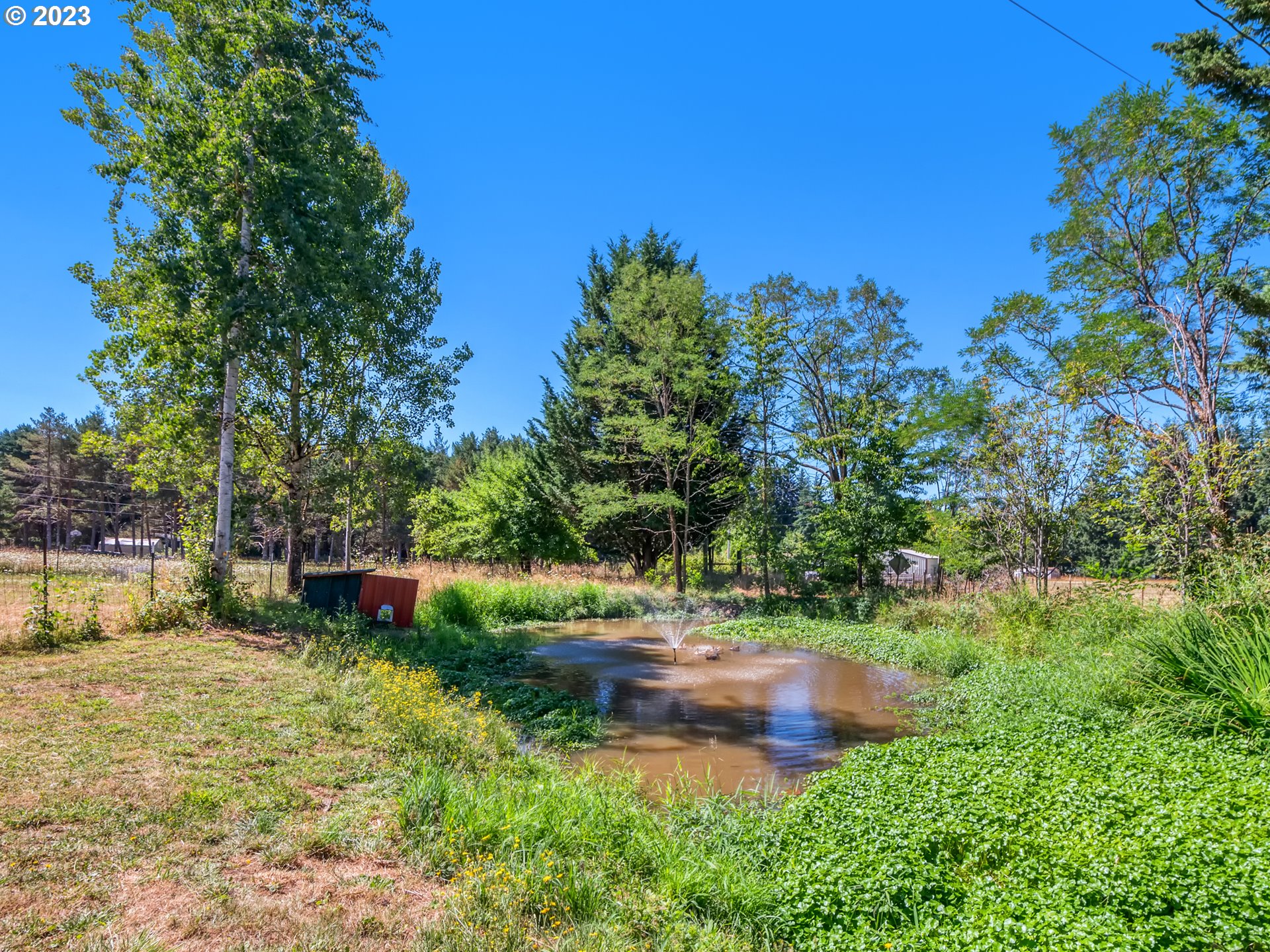33955 Ford Mill Road Lebanon, OR 97355 - Photo 24 of 44 a backyard of a house with lots of green space