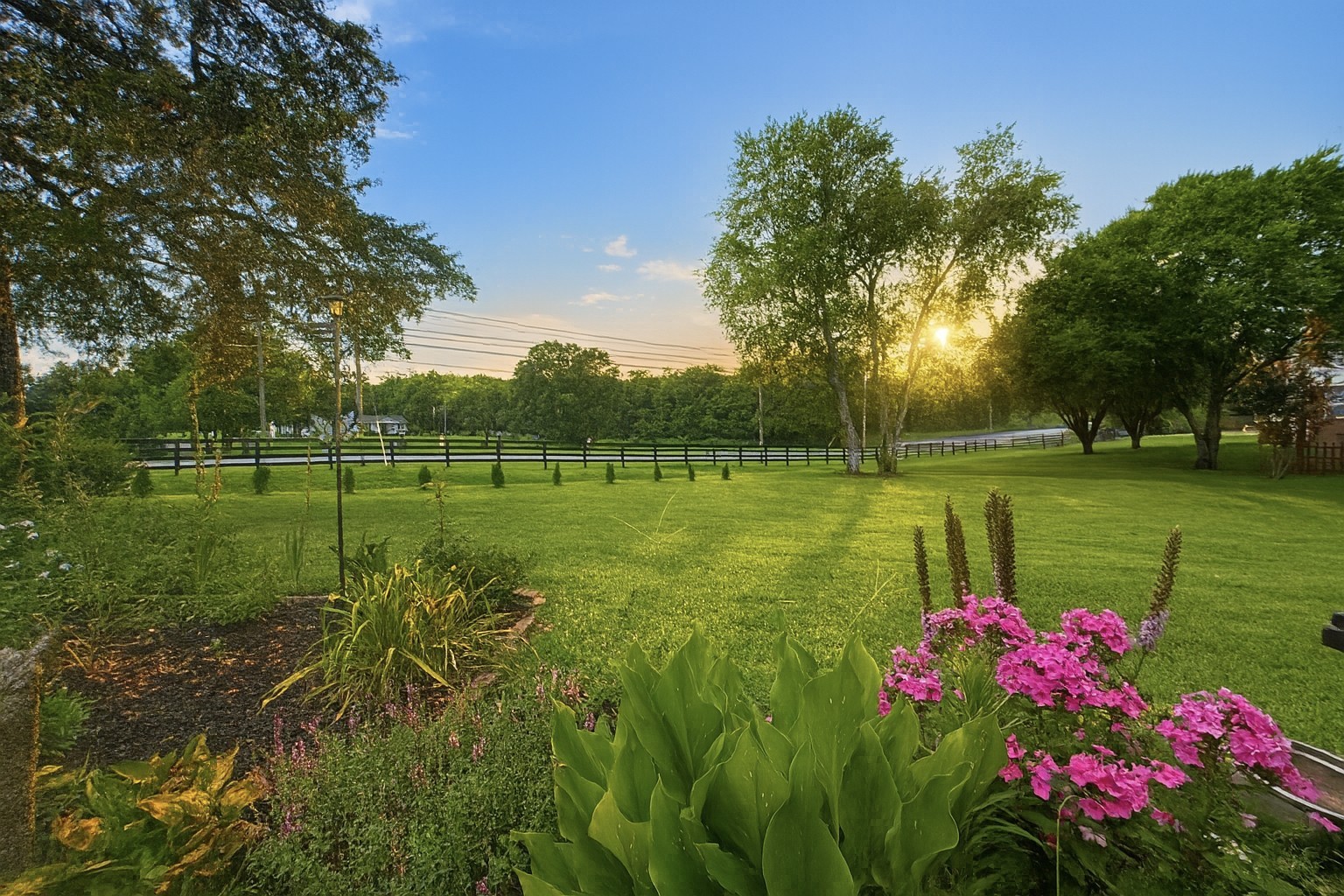 114 Falling Branch Court Murfreesboro, TN 37129 - Photo 43 of 69 a view of a big yard with plants and large trees