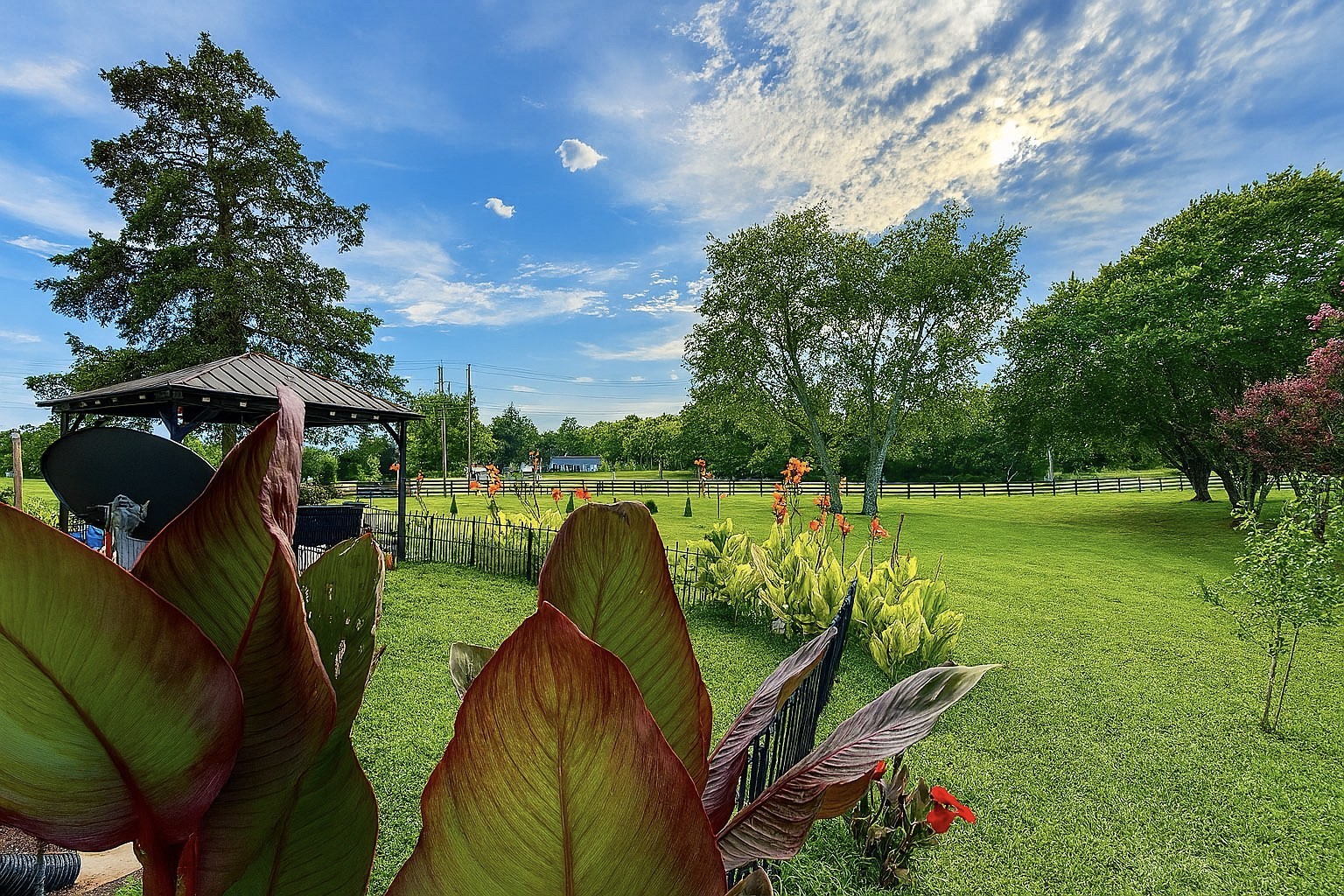 114 Falling Branch Court Murfreesboro, TN 37129 - Photo 46 of 69 a view of a garden with plants
