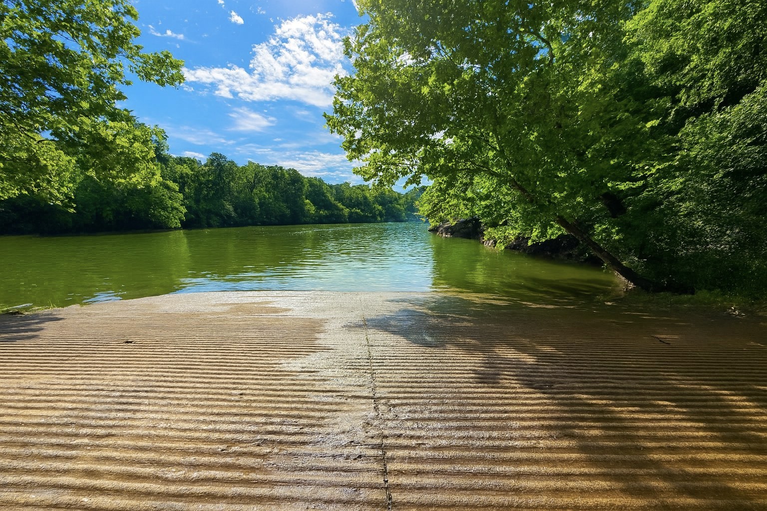 114 Falling Branch Court Murfreesboro, TN 37129 - Photo 65 of 69