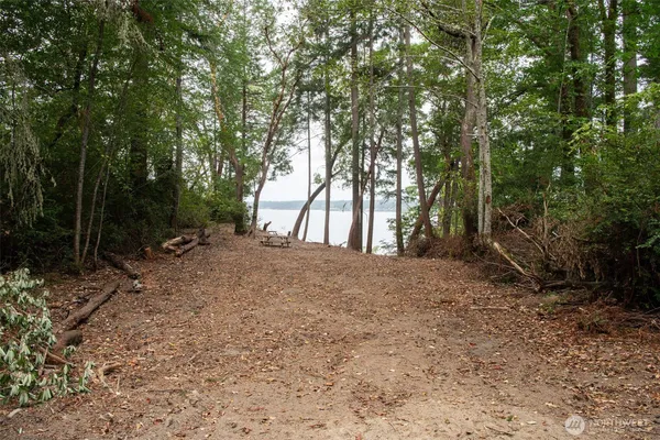 a view of outdoor space with trees
