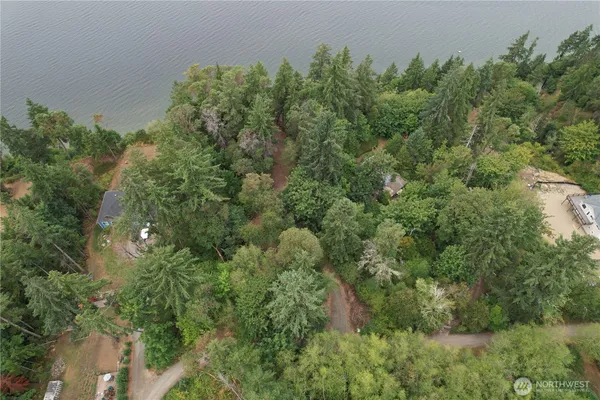 a view of a yard