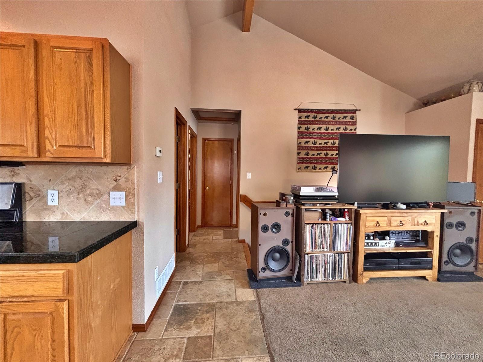 17 Silver Springs Road Bailey, CO 80421 - Photo 12 of 50