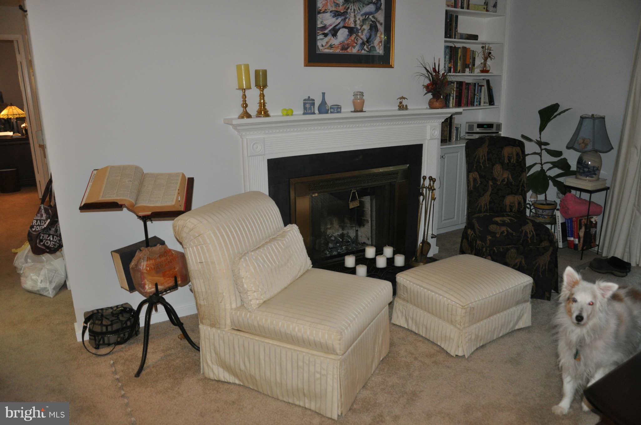 7707 A Lexton Place, Unit 40 Springfield, VA 22152 - Photo 3 of 16 Living Room w/Fireplace