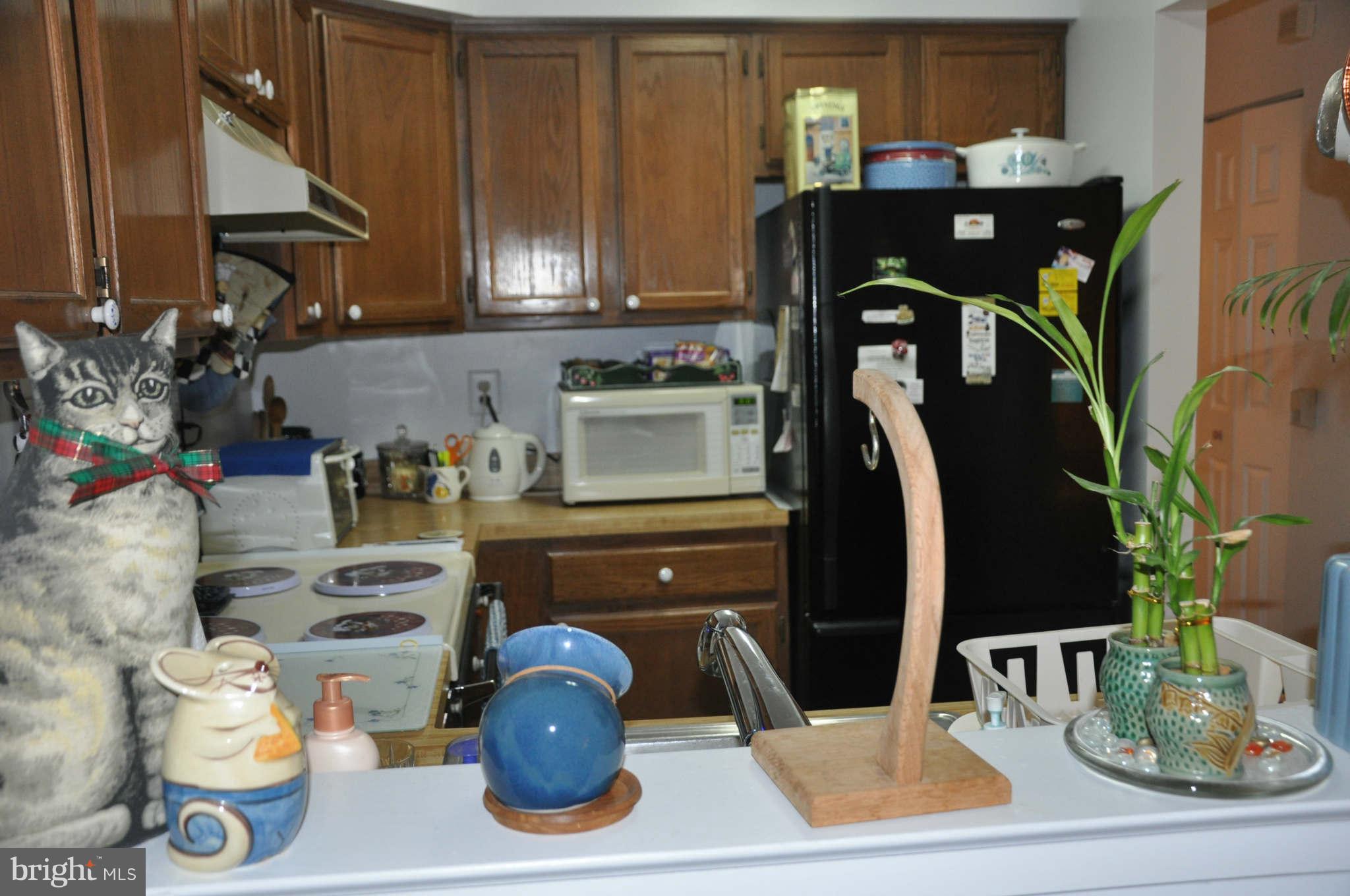 7707 A Lexton Place, Unit 40 Springfield, VA 22152 - Photo 7 of 16 Kitchen