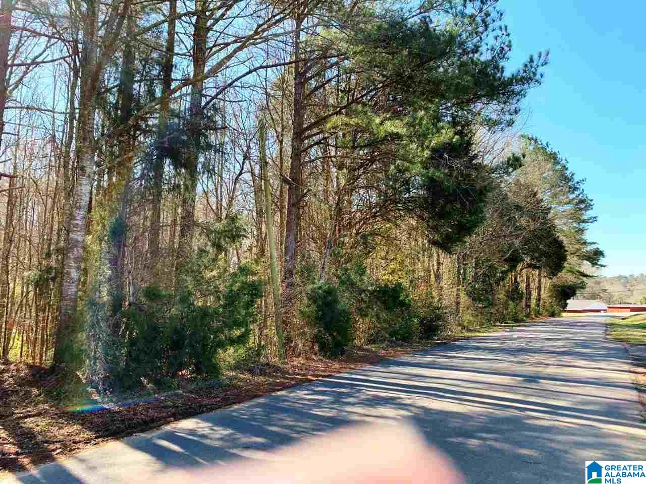 Blake Street, Unit 1 9ACRES Heflin, AL 36264 - Photo 1 of 7