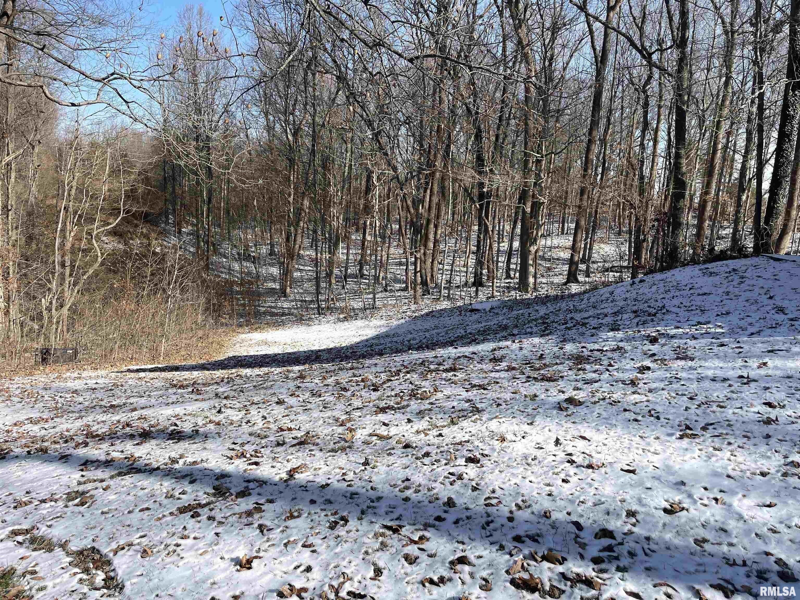 3390 Alum Cave Road Marion, IL 62959 - Photo 5 of 25 Gallery Image 5