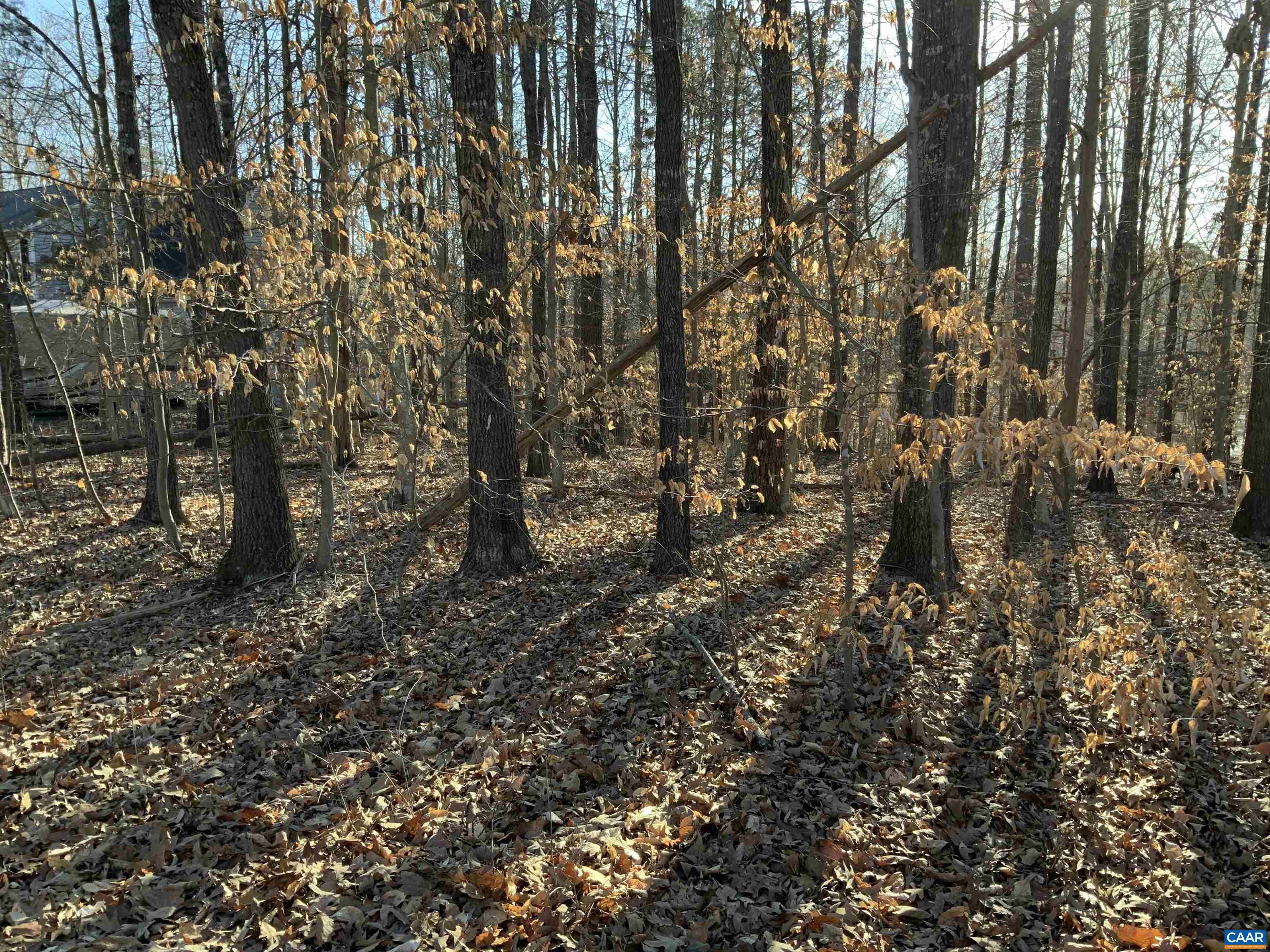 40 Riverside Drive Palmyra, VA 22963 - Photo 2 of 4