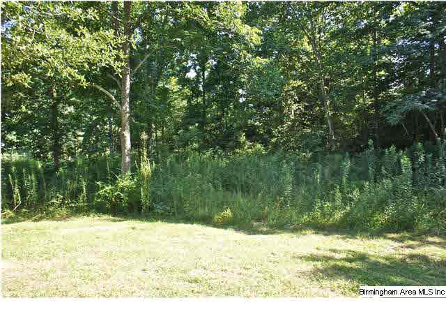 2764 County Road 85 Clanton, AL 35046 - Photo 29 of 32