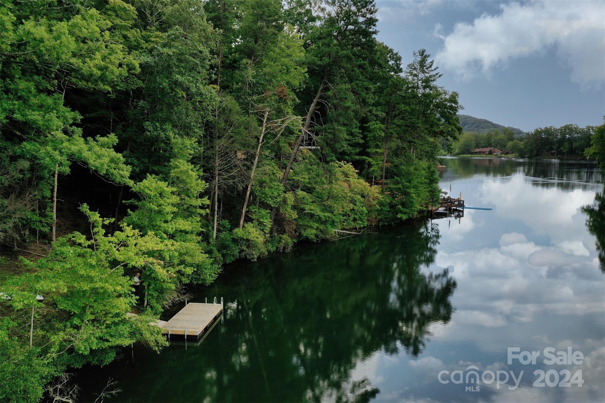 1733 Buffalo Creek Road Lake Lure, NC 28746 - Photo 1 of 15