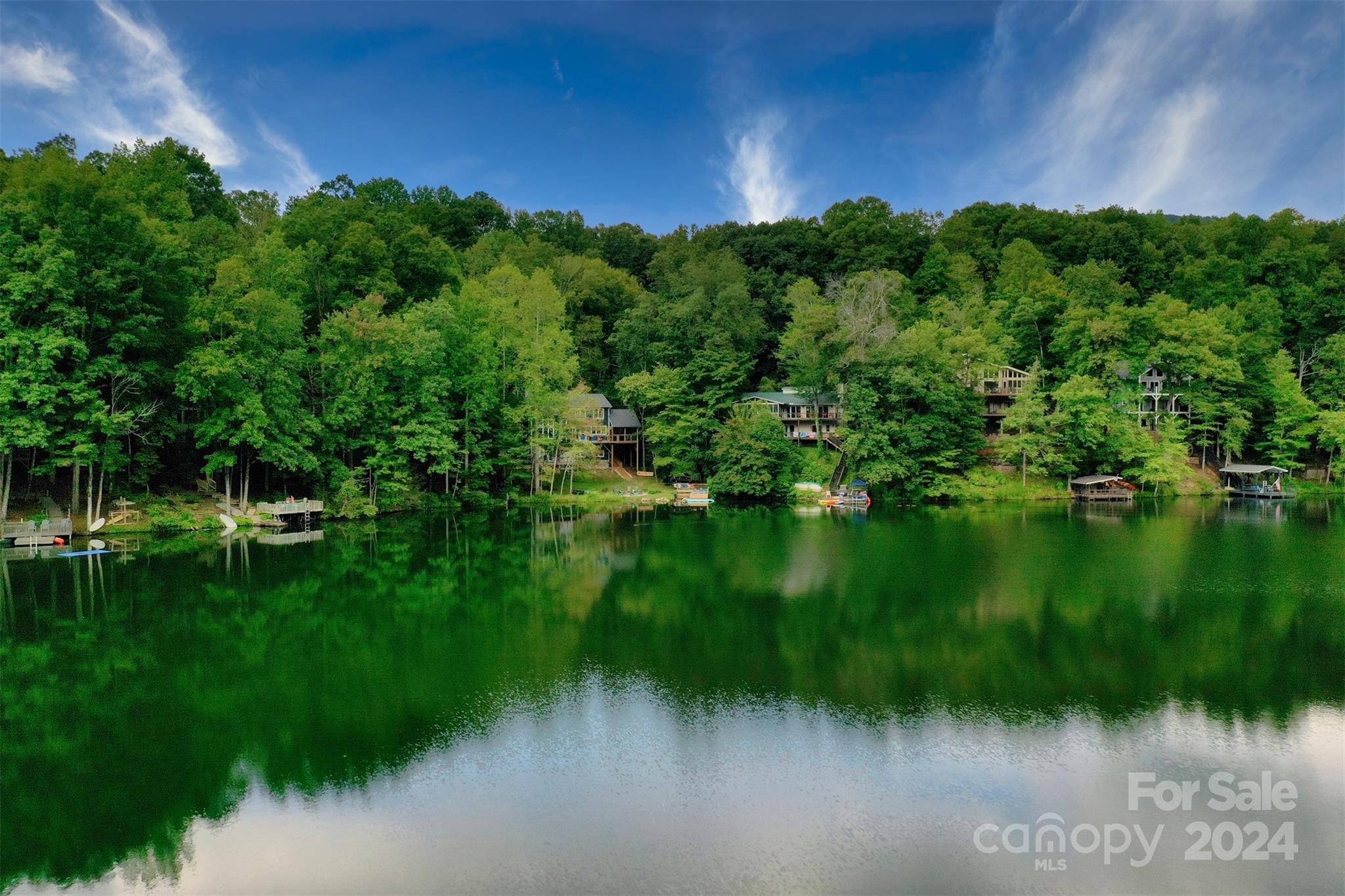 1733 Buffalo Creek Road Lake Lure, NC 28746 - Photo 11 of 15