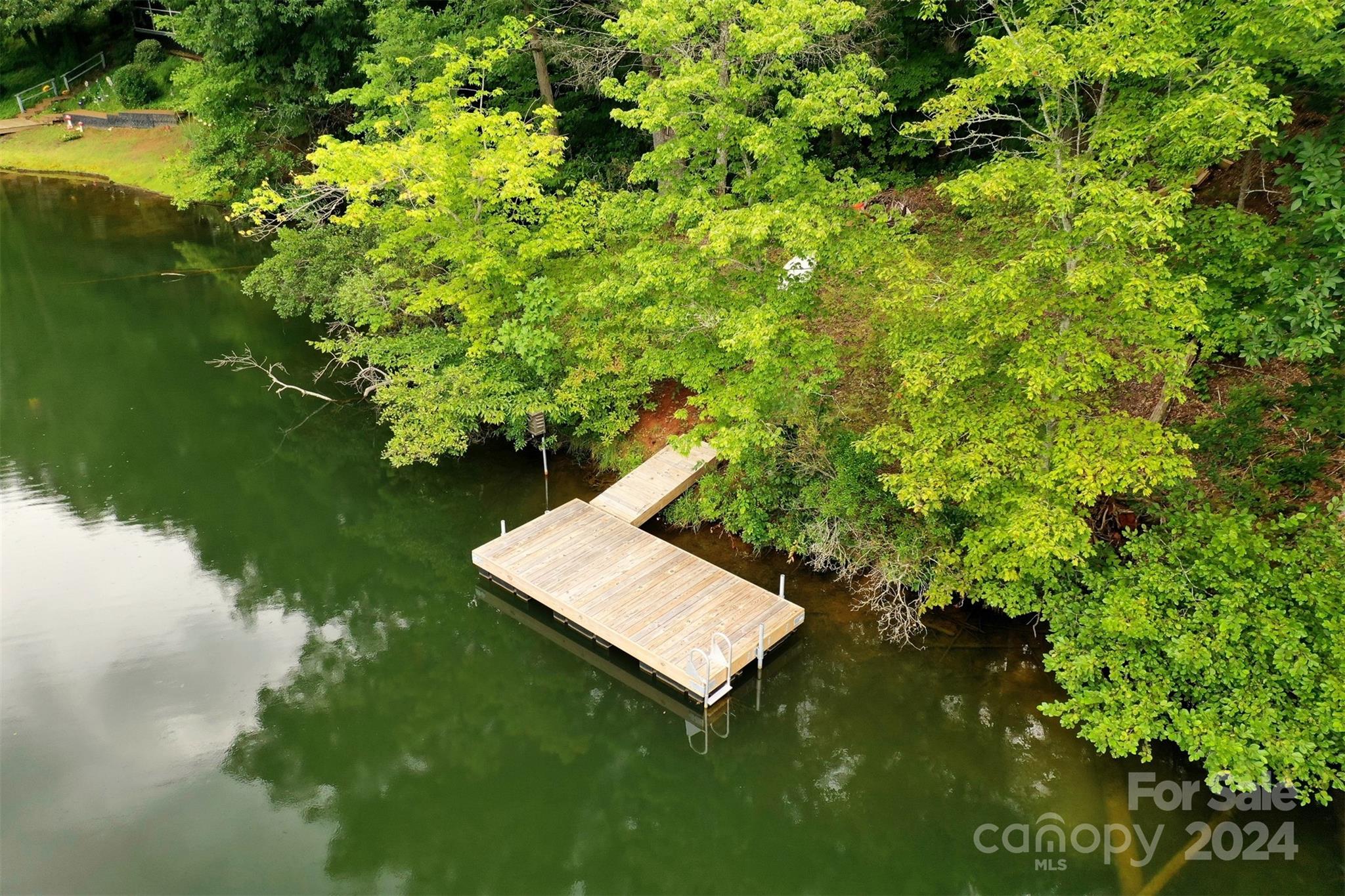 1733 Buffalo Creek Road Lake Lure, NC 28746 - Photo 12 of 15
