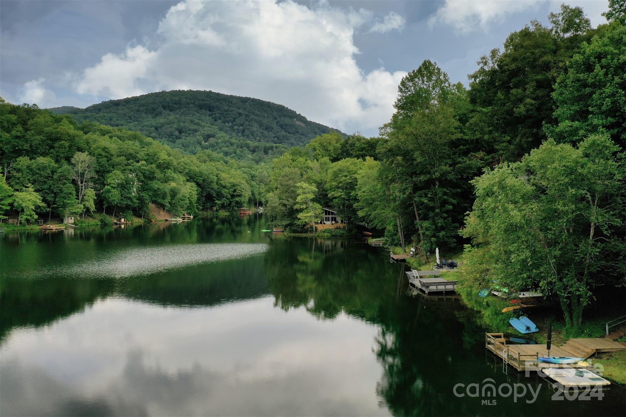 1733 Buffalo Creek Road Lake Lure, NC 28746 - Photo 13 of 15
