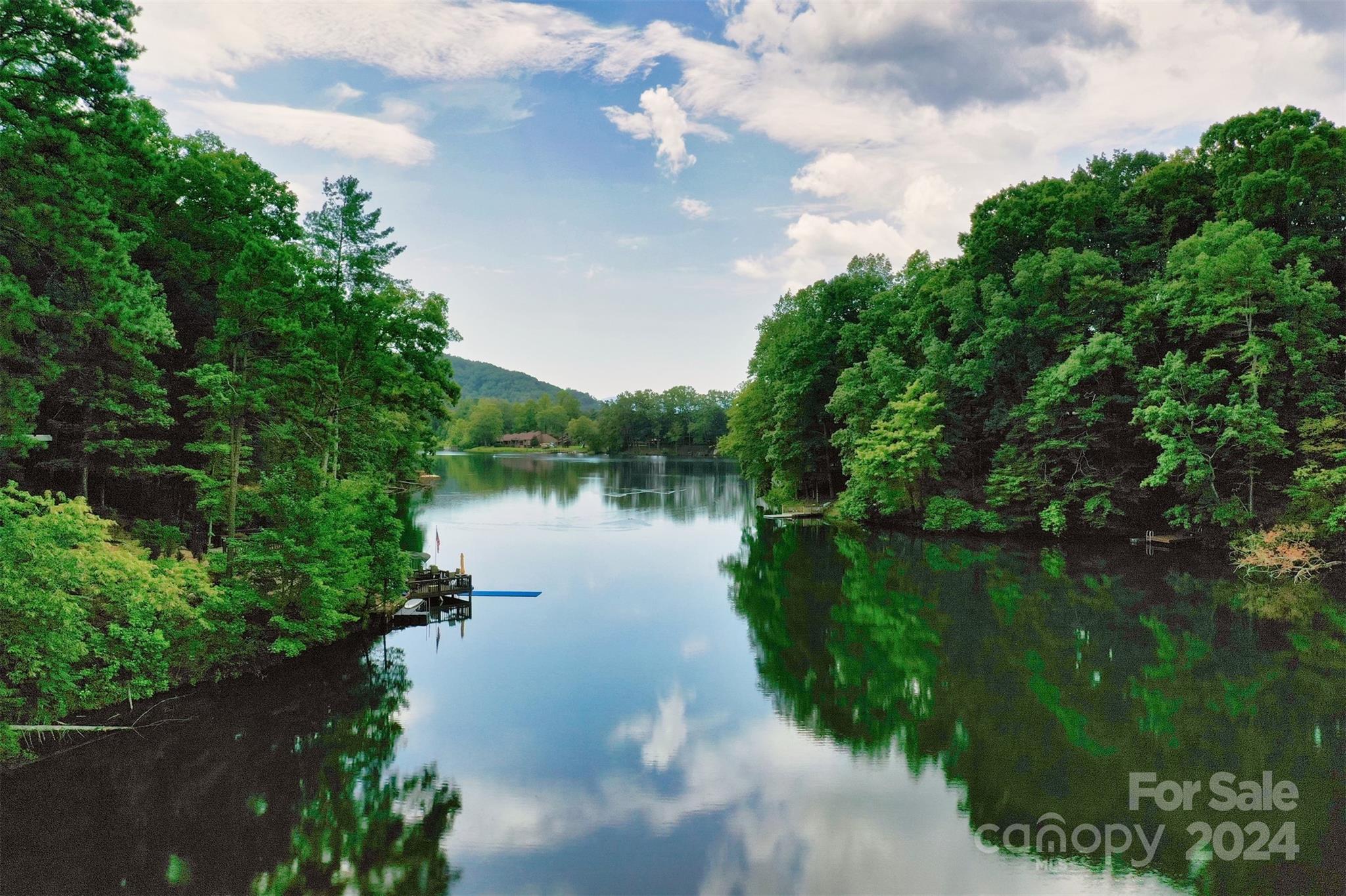 1733 Buffalo Creek Road Lake Lure, NC 28746 - Photo 14 of 15