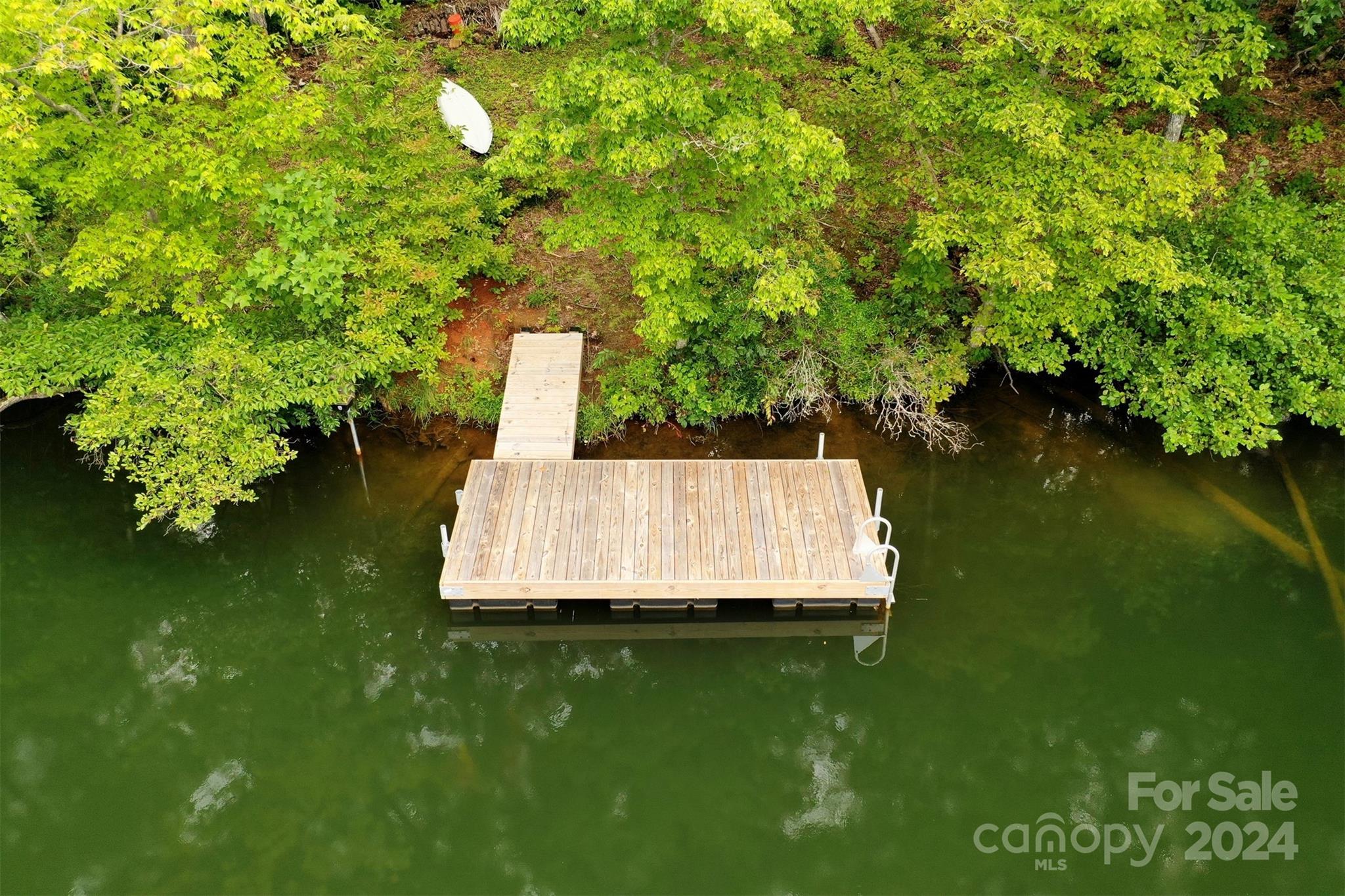 1733 Buffalo Creek Road Lake Lure, NC 28746 - Photo 15 of 15