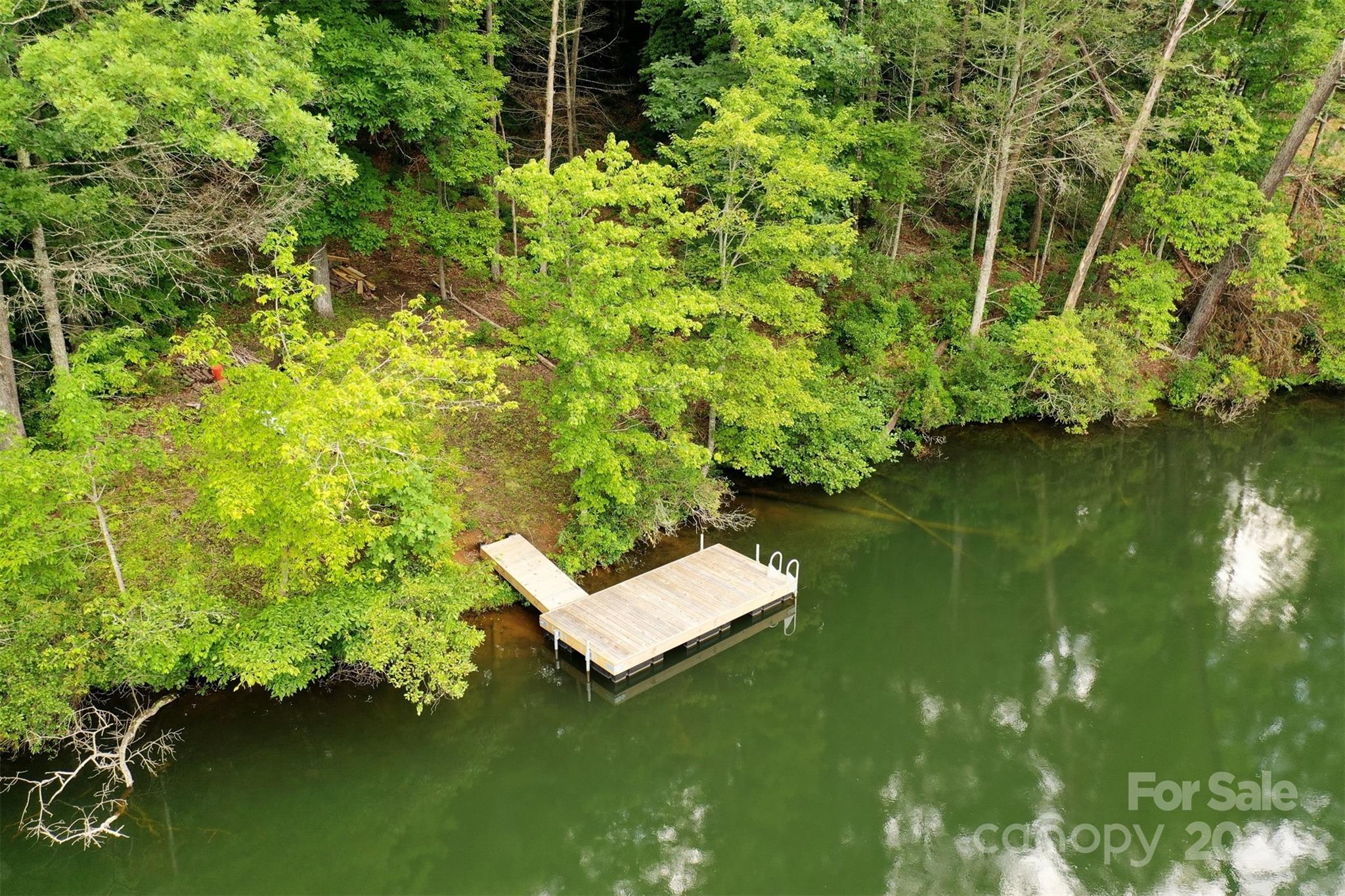 1733 Buffalo Creek Road Lake Lure, NC 28746 - Photo 2 of 15