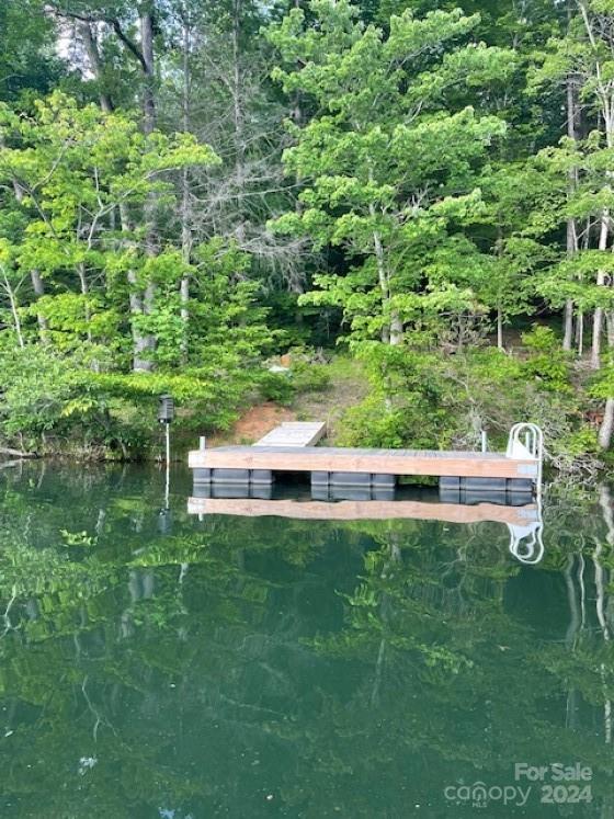 1733 Buffalo Creek Road Lake Lure, NC 28746 - Photo 3 of 15