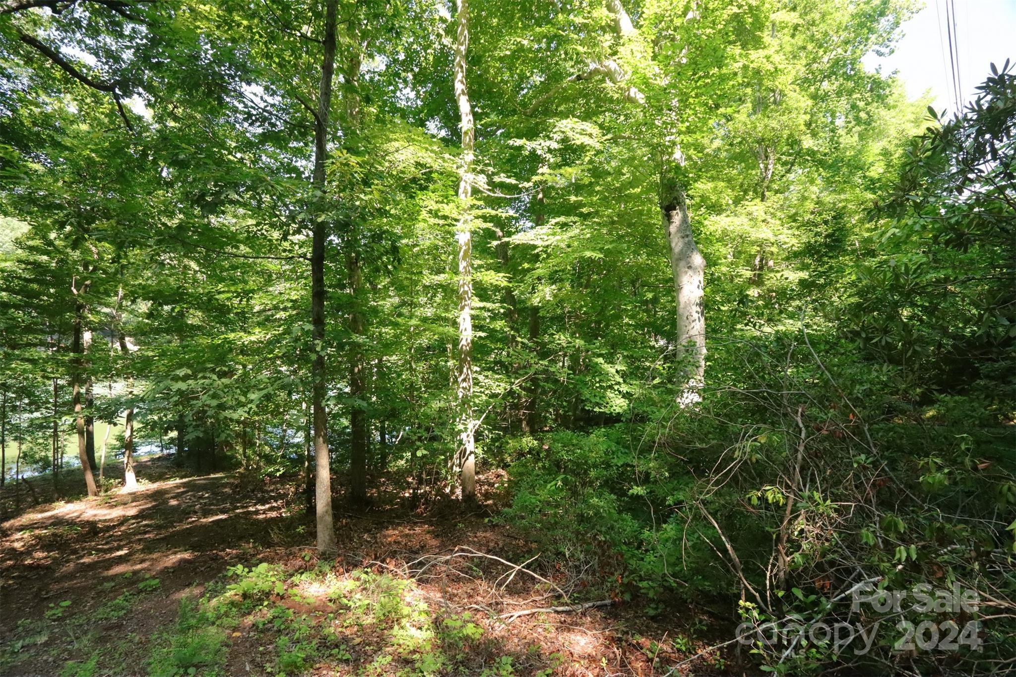 1733 Buffalo Creek Road Lake Lure, NC 28746 - Photo 4 of 15