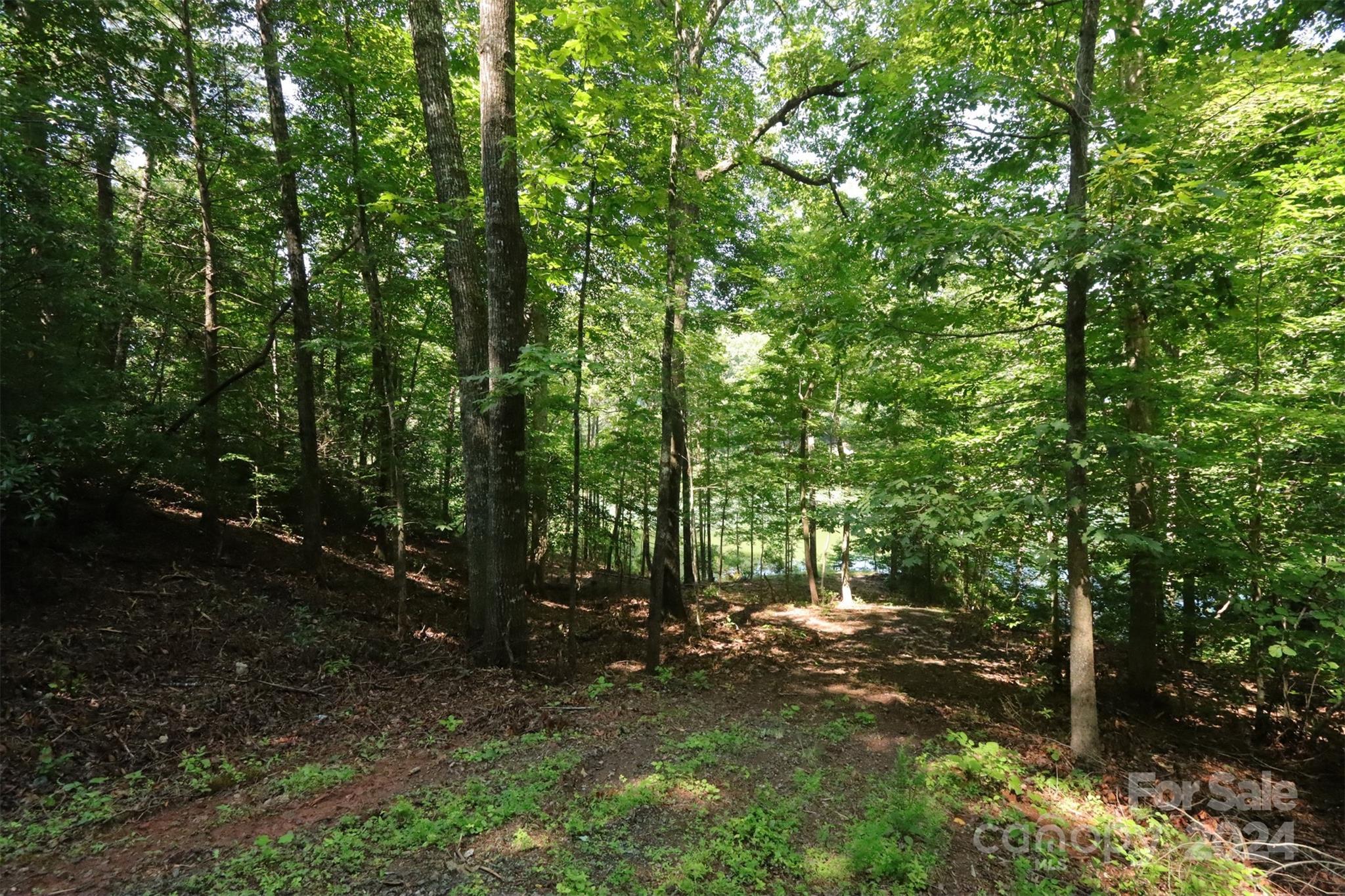 1733 Buffalo Creek Road Lake Lure, NC 28746 - Photo 5 of 15