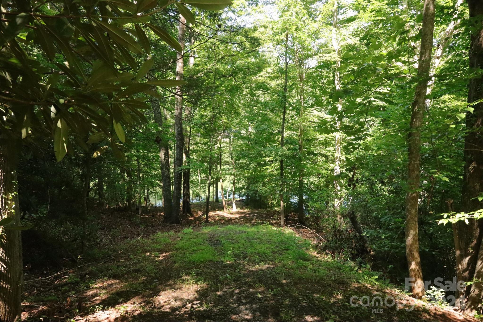 1733 Buffalo Creek Road Lake Lure, NC 28746 - Photo 6 of 15