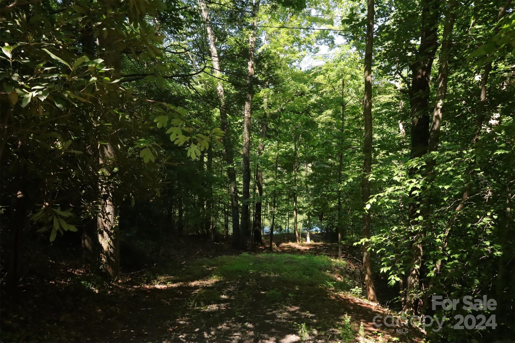 1733 Buffalo Creek Road Lake Lure, NC 28746 - Photo 7 of 15