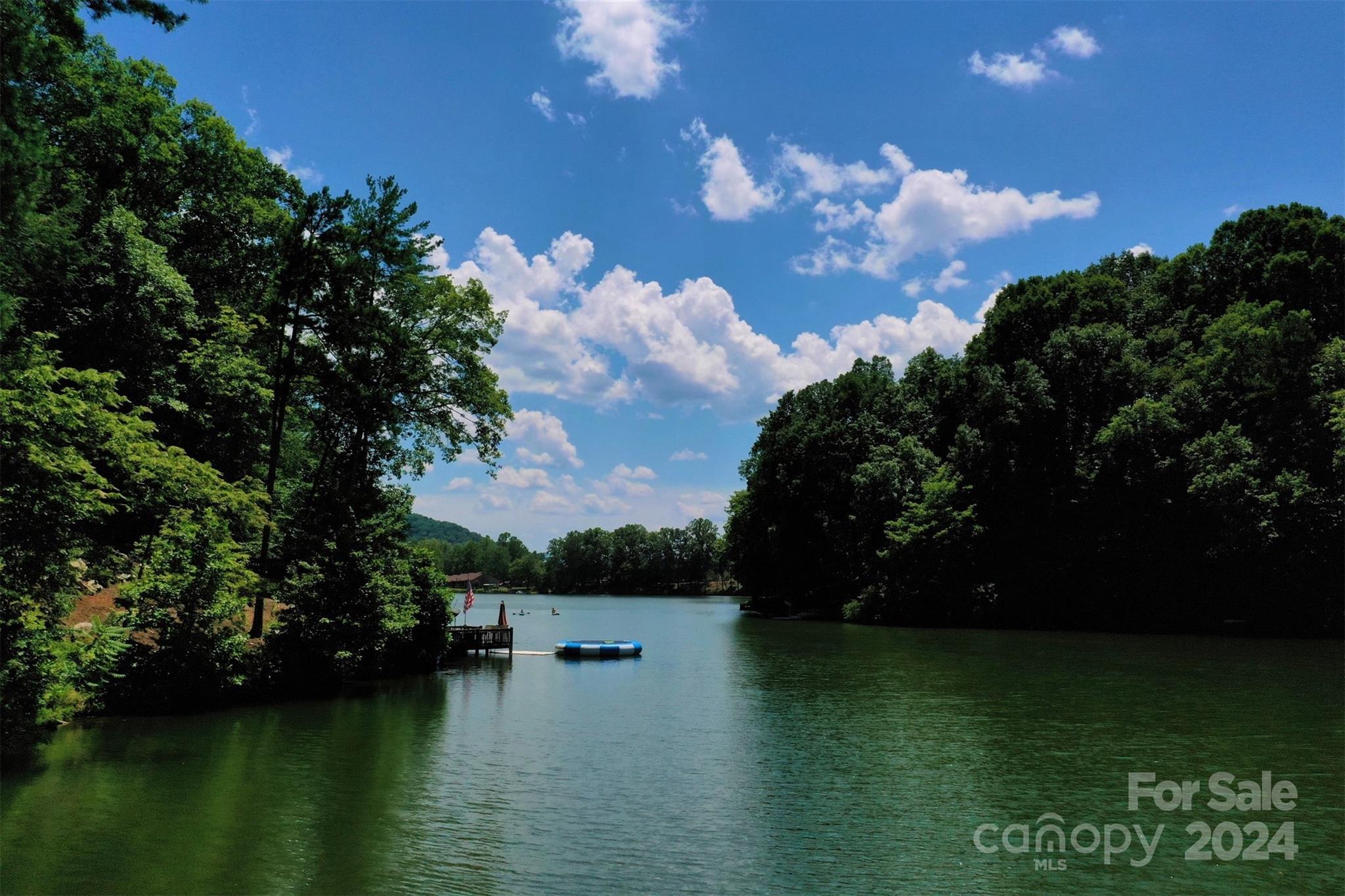1733 Buffalo Creek Road Lake Lure, NC 28746 - Photo 8 of 15