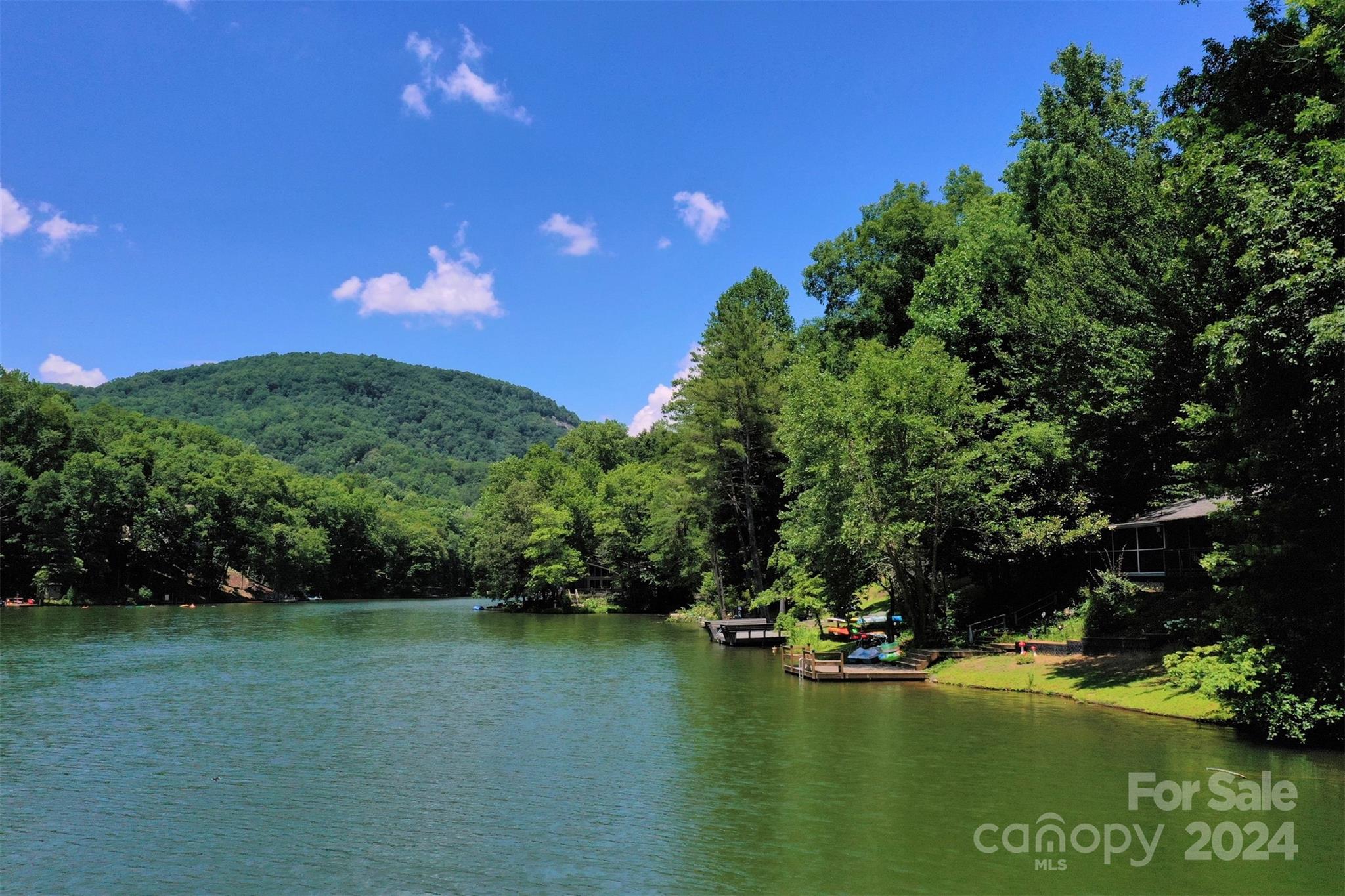 1733 Buffalo Creek Road Lake Lure, NC 28746 - Photo 9 of 15