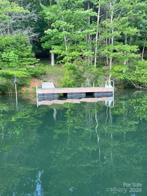 1733 Buffalo Creek Road Lake Lure, NC 28746 - Photo 10 of 15