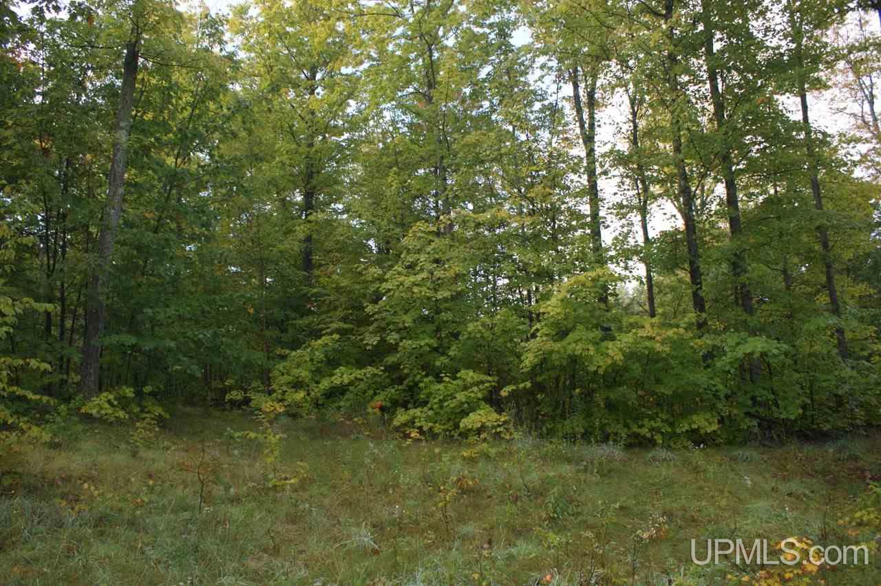 33 Makinen Road Jl Road Negaunee, MI 49866 - Photo 3 of 11