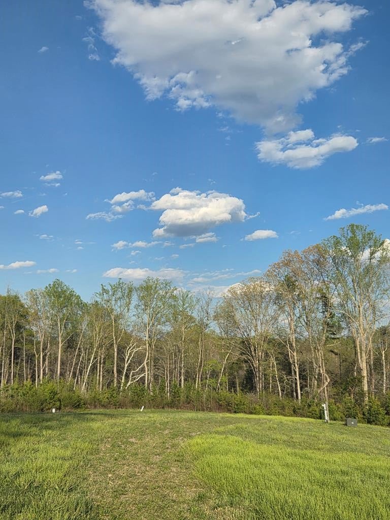 1126 Red House Road Appomattox, VA 24522 - Photo 1 of 4 Gallery Image 1