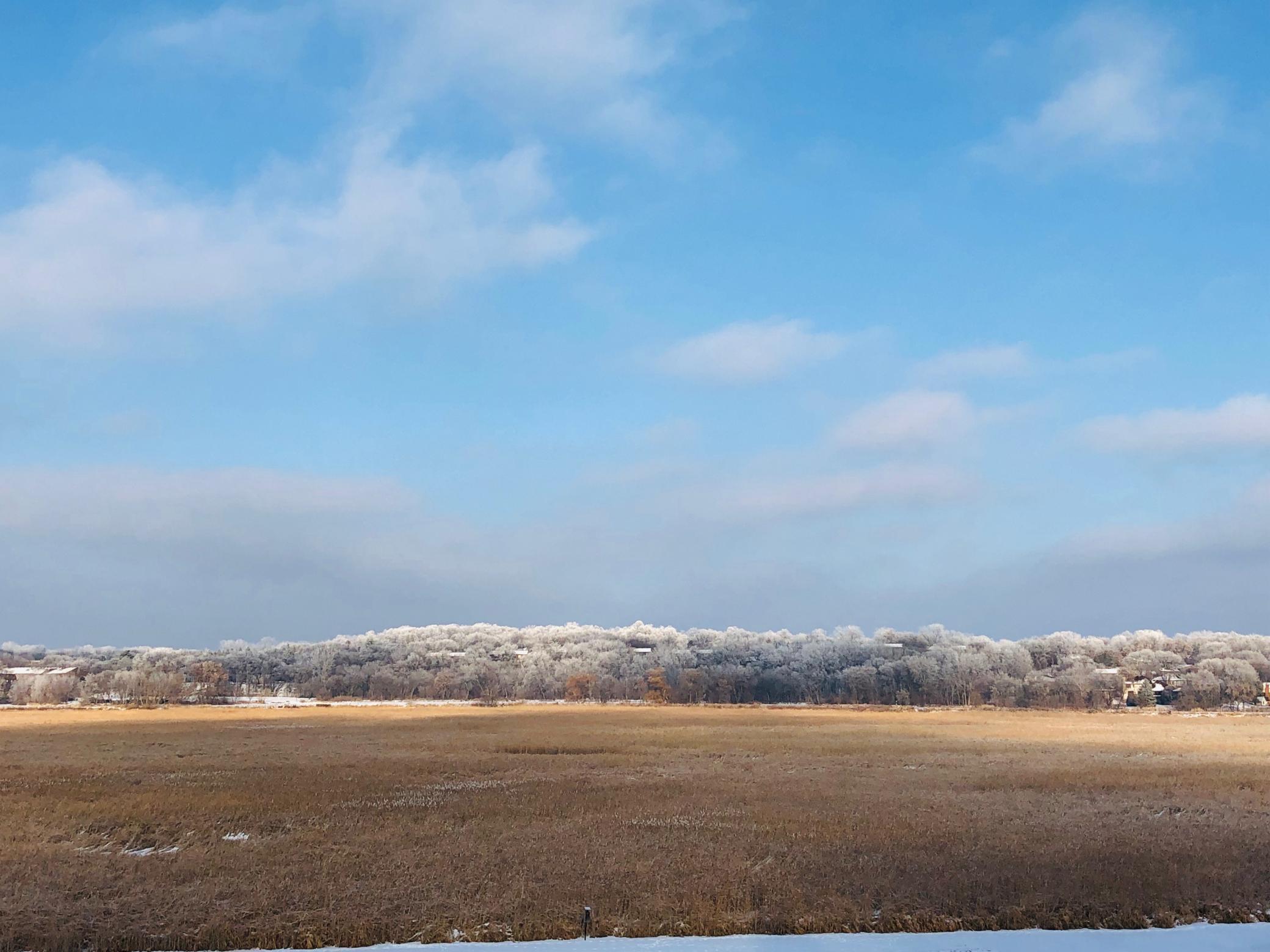 11472 Mt Curve Road Eden Prairie, MN 55347 - Photo 11 of 14