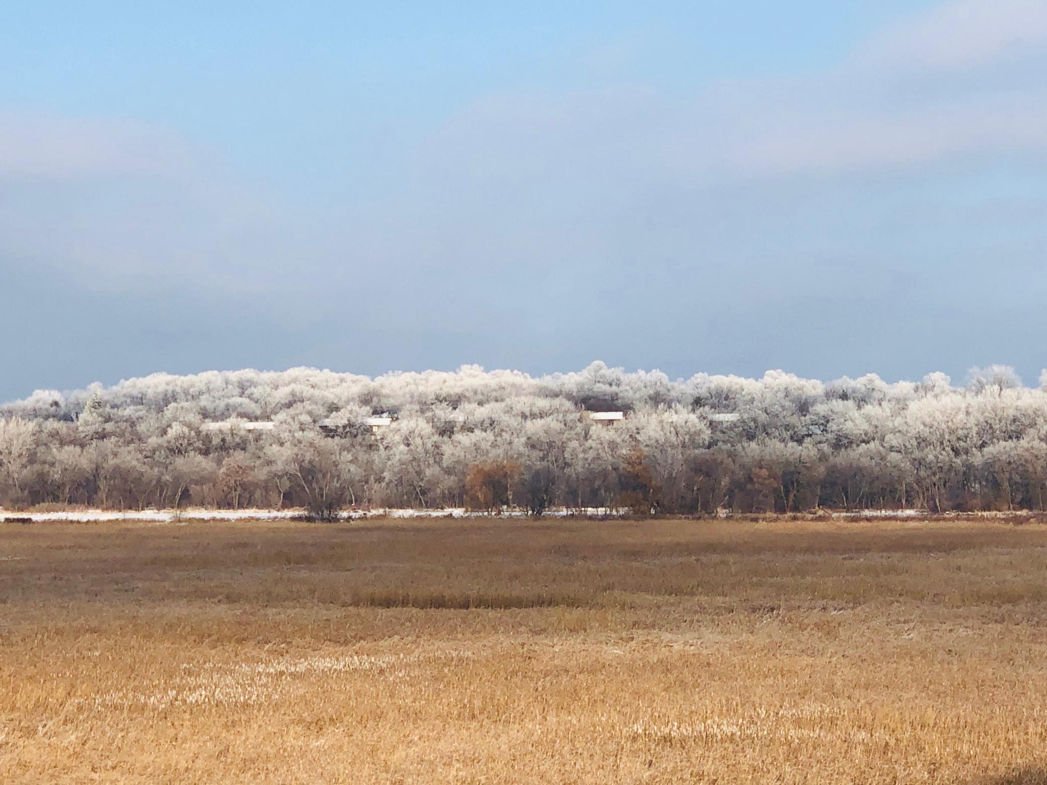 11472 Mt Curve Road Eden Prairie, MN 55347 - Photo 12 of 14