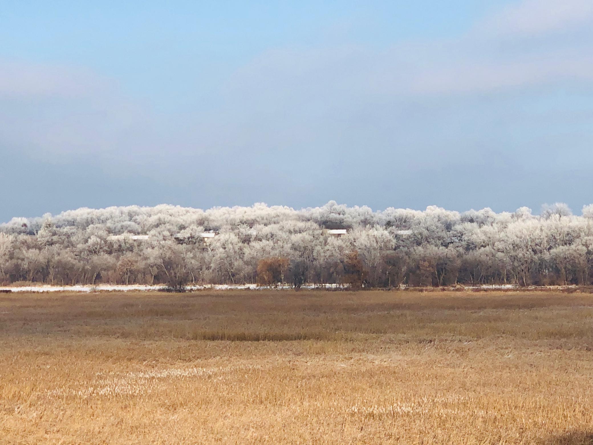 11472 Mt Curve Road Eden Prairie, MN 55347 - Photo 13 of 14