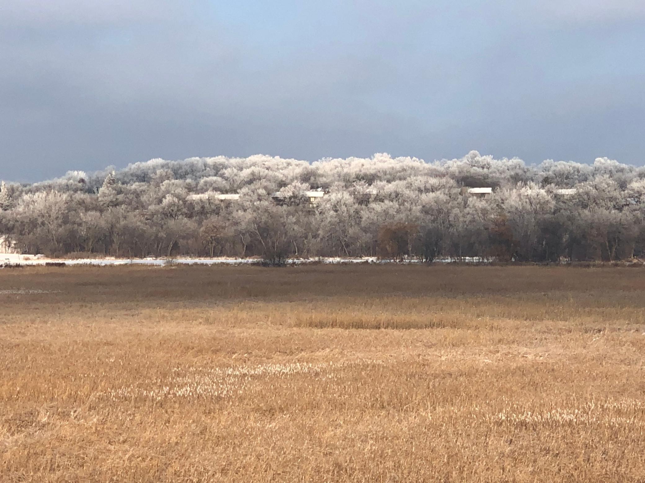 11472 Mt Curve Road Eden Prairie, MN 55347 - Photo 14 of 14