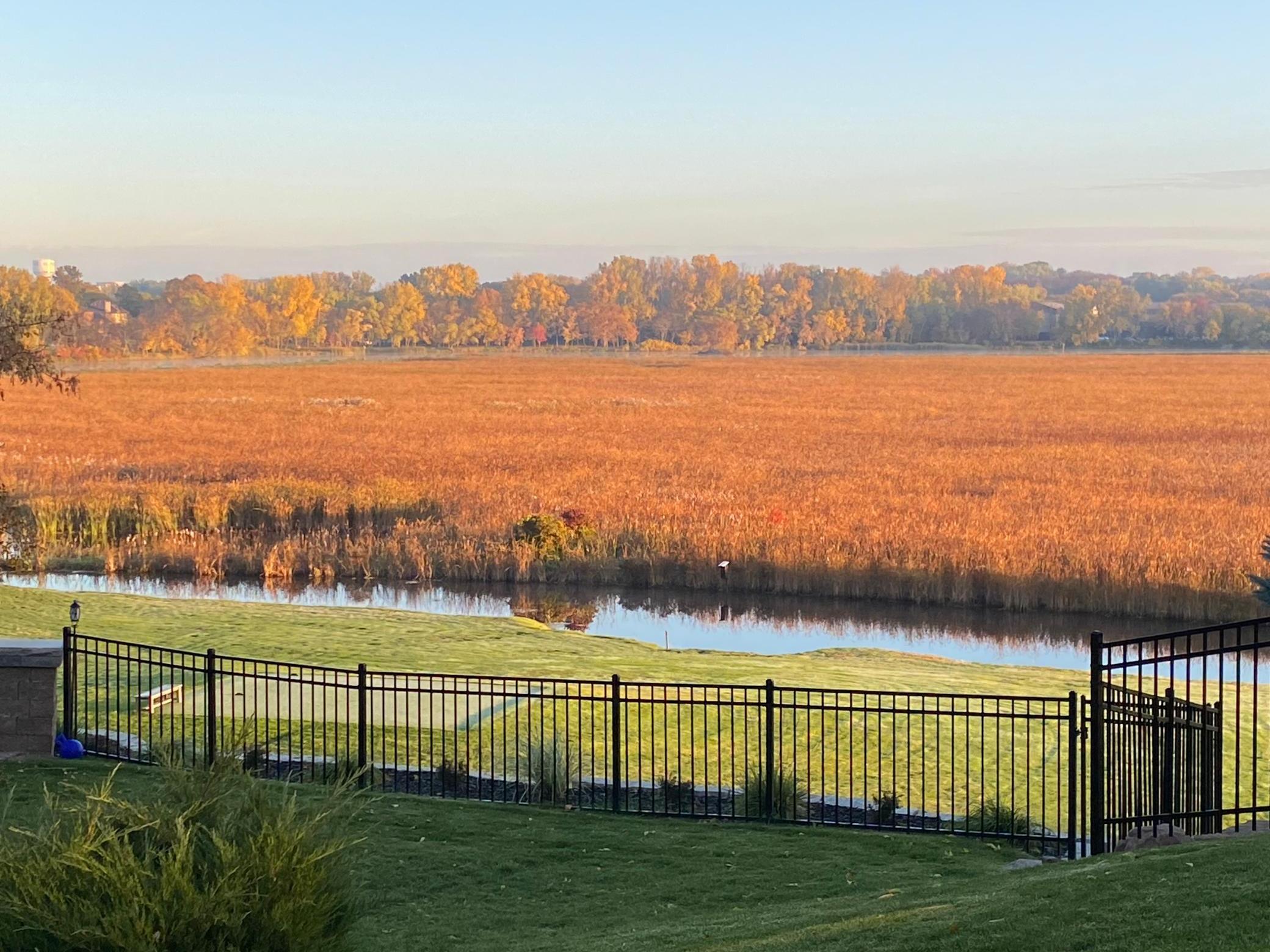 11472 Mt Curve Road Eden Prairie, MN 55347 - Photo 5 of 14