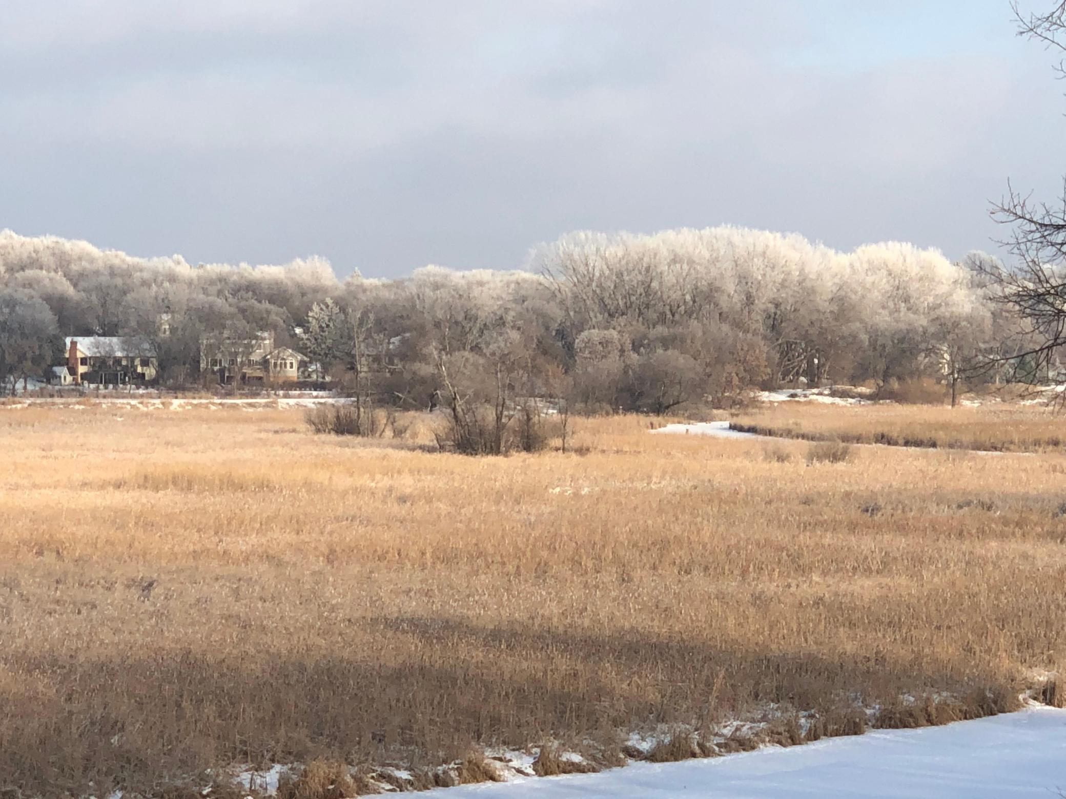 11472 Mt Curve Road Eden Prairie, MN 55347 - Photo 8 of 14